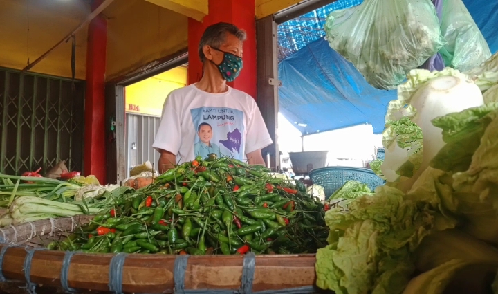 Tembus Rekor, Harga Cabai Rawit di Tanggamus Lampung Rp 70 Ribu per Kg
