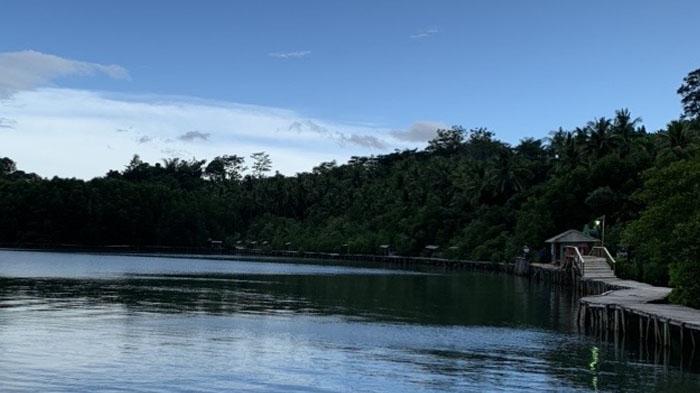 Hutan Mangrove Petengoran, Jelajah Tempat Wisata di Lampung Sambil Belajar Alam