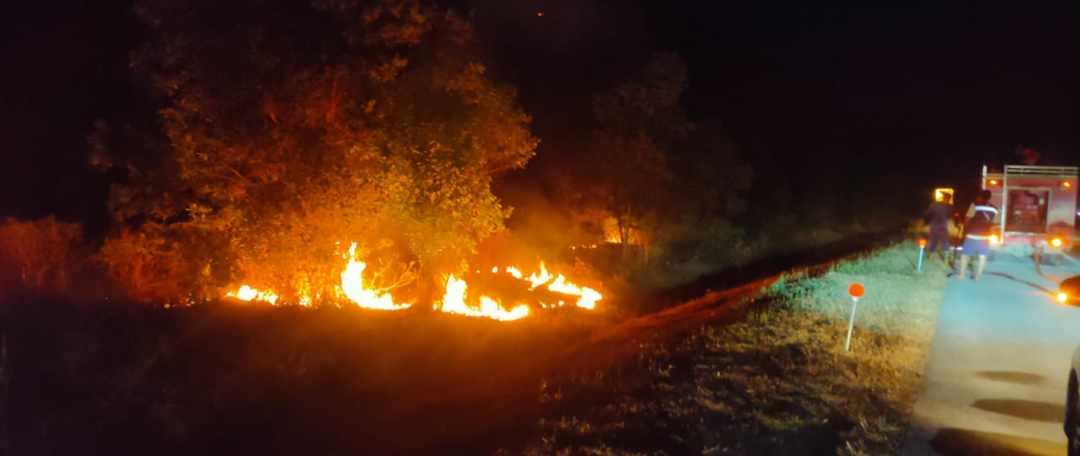 Puncak Kemarau Juli–September, BPBD Lampung Tengah Minta Warga Waspadai Karhutla - Tribunlampung.co.id