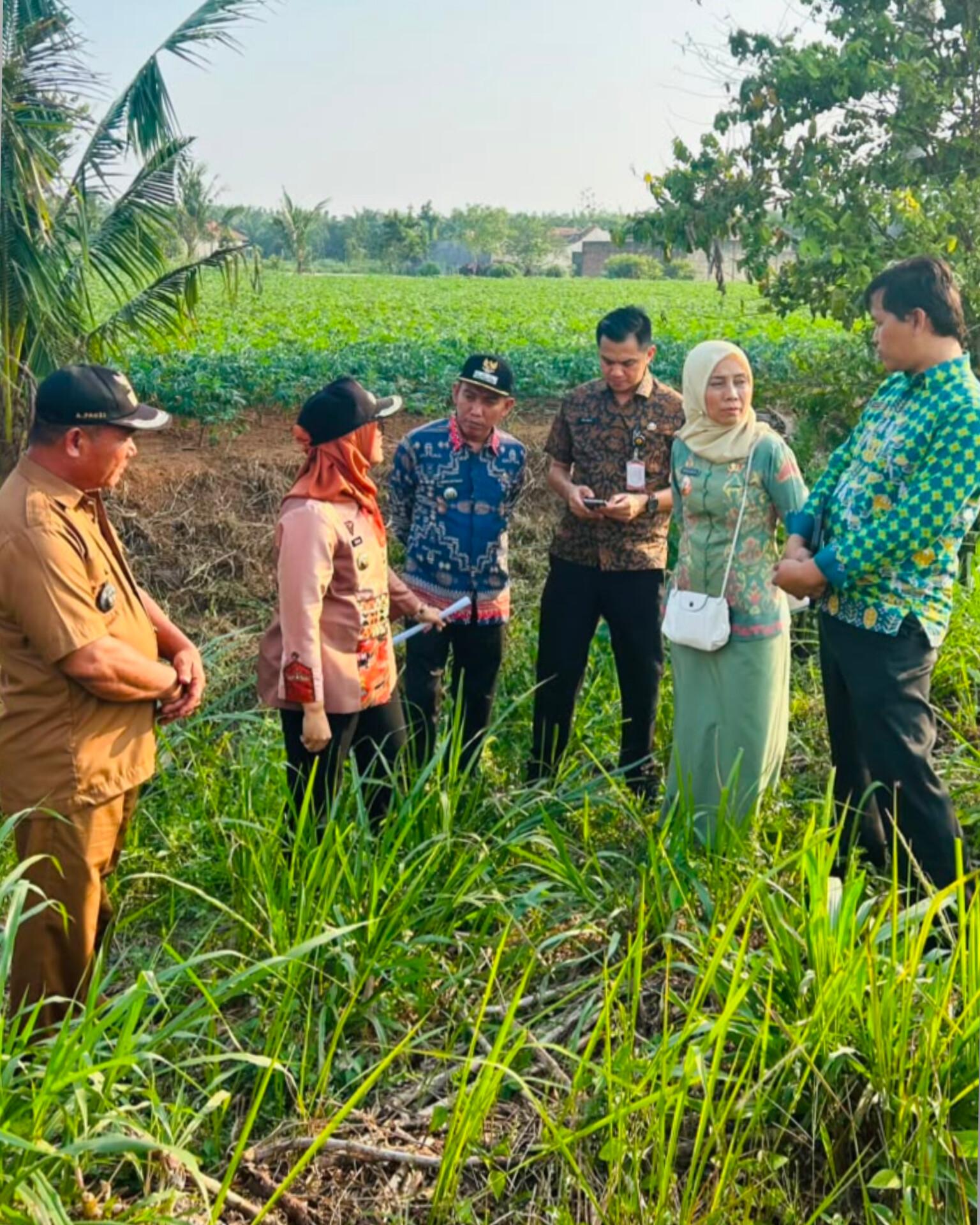 Jaringan Irigasi DAM Way Kawat Akan Dibenahi, Bupati Ela Siapkan Rekayasa Irigasi Permanen - Tribunlampung.co.id