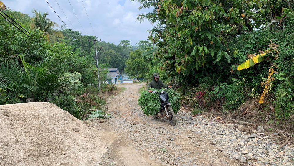 Jalan di Pringsewu Lampung 36 Tahun Tak Diperbaiki, Anggota DPRD Sebut Miris