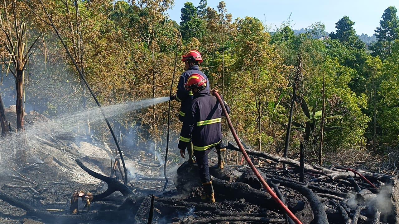 2 Unit Kendaraan Damkar Dikerahkan Tangani Kebakaran Lahan di Kalianda, Kerugian Ditaksir Rp35 Juta - Tribunlampung.co.id