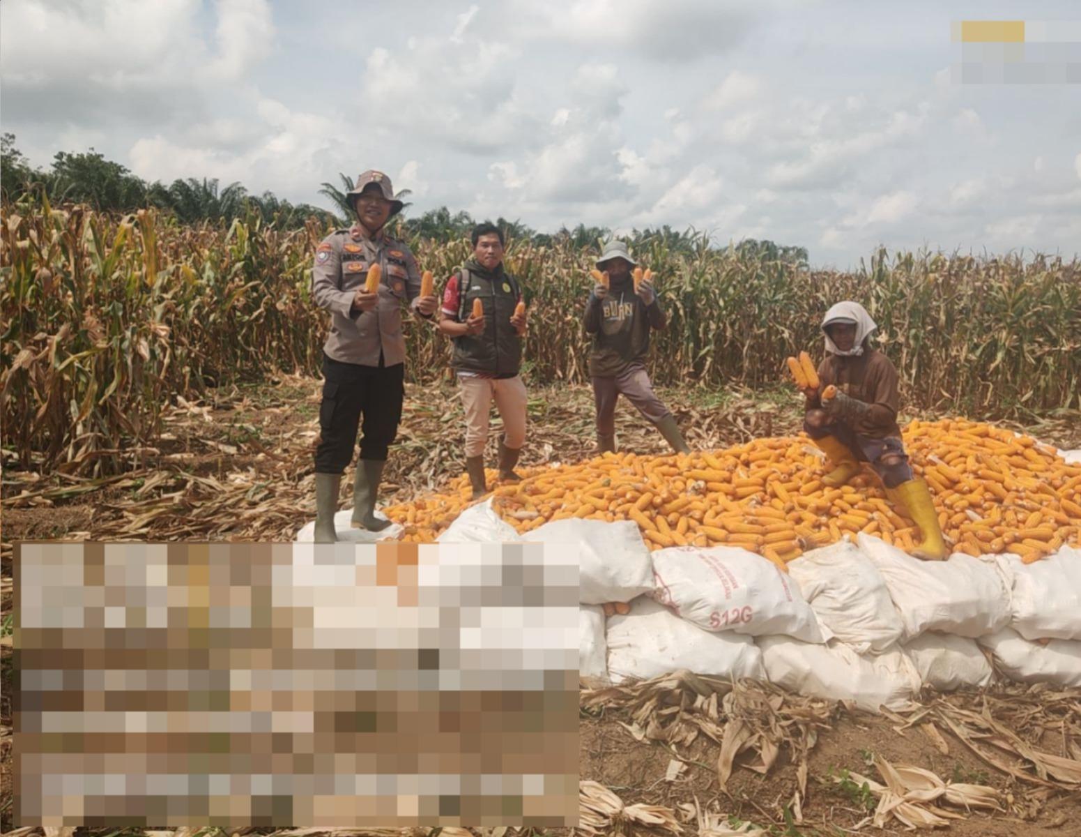 Polsek Negara Batin Way Kanan Dukung Pemerintah terkait Ketahanan Pangan