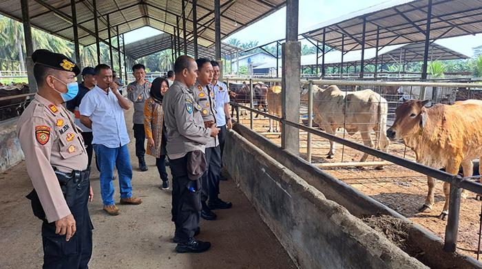 Polres Lampung Utara dan Dinas Peternakan Pantau Kesehatan Sapi