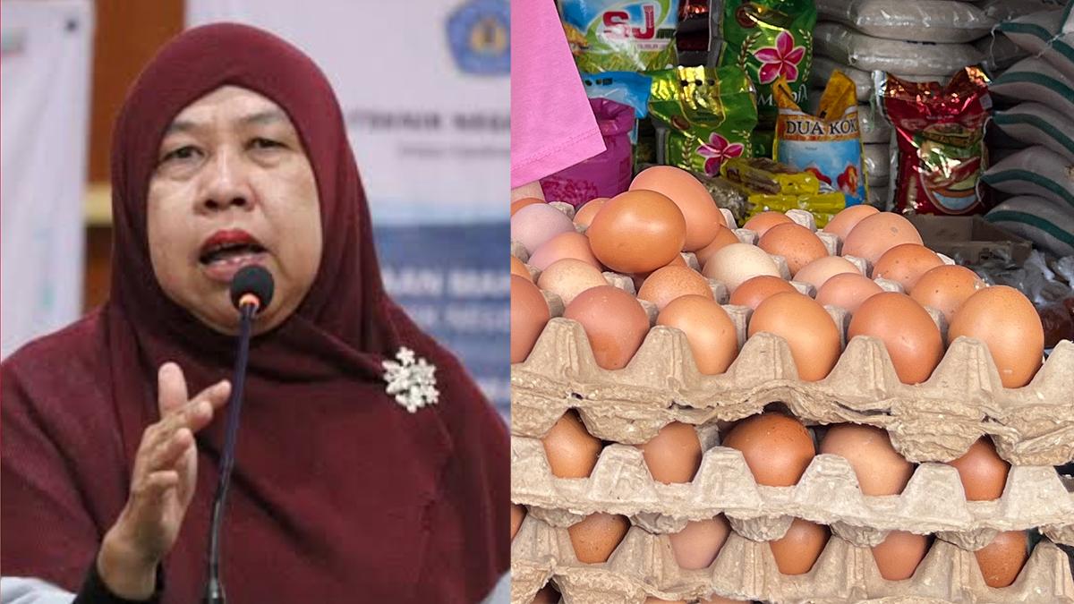 Dosen Polinela Sebut HET Ayam dan Telur Sudah Tepat tapi Harga Pakan Harus Dikendalikan - Tribunlampung.co.id