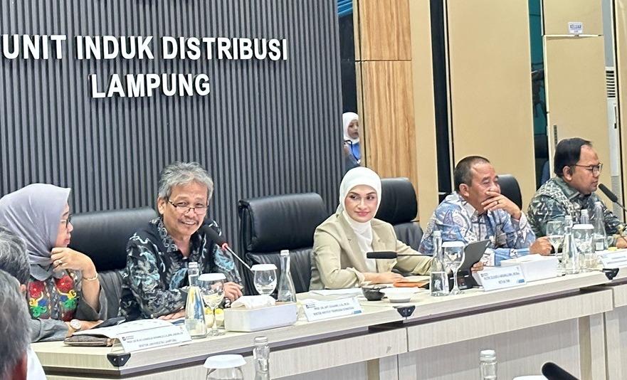 Hampir Separuh Pasokan Listrik di Lampung Berasal dari Energi Baru Terbarukan - Tribunlampung.co.id