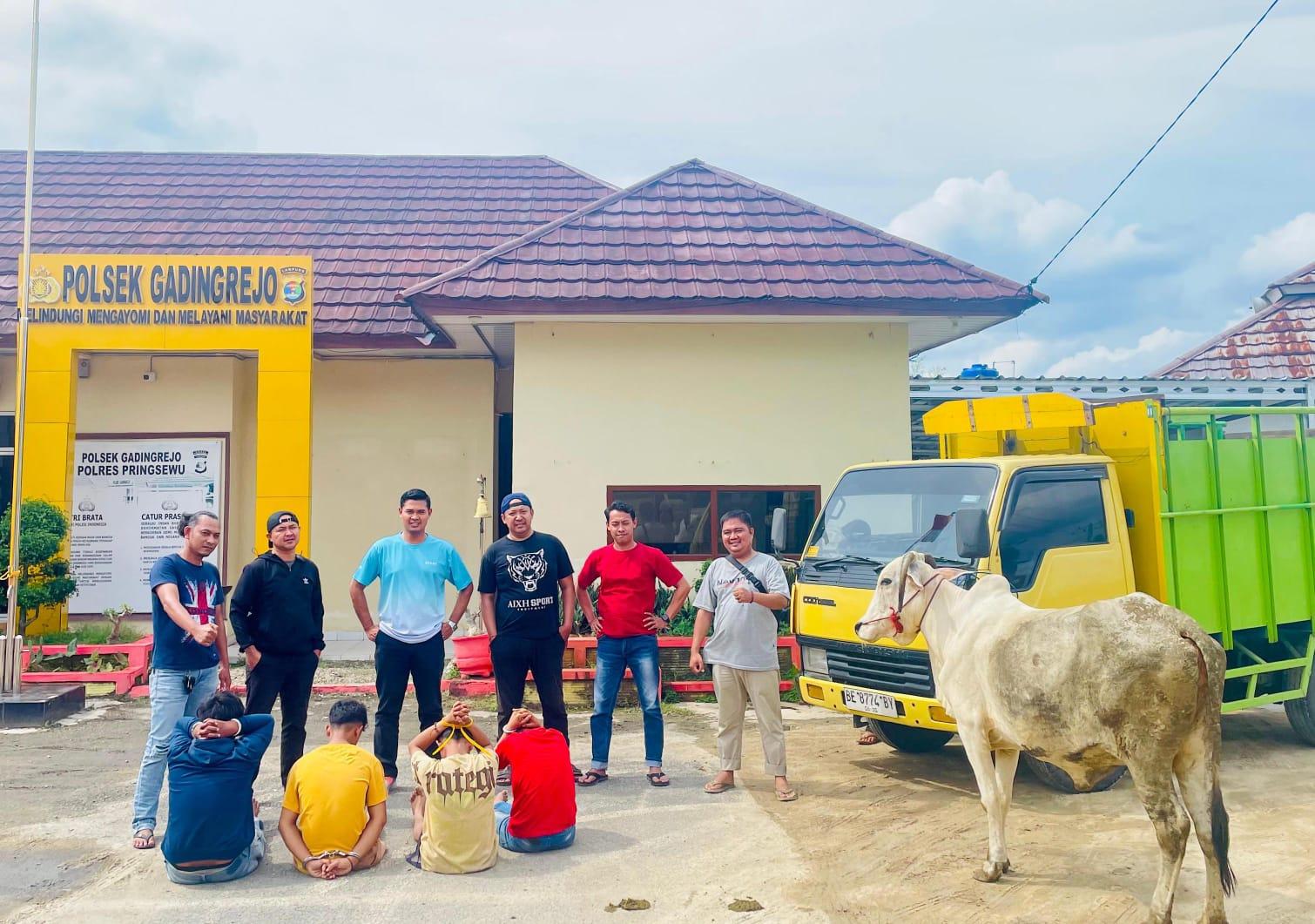 Polisi Bekuk Komplotan Pencuri Sapi di Gadingrejo Pringsewu