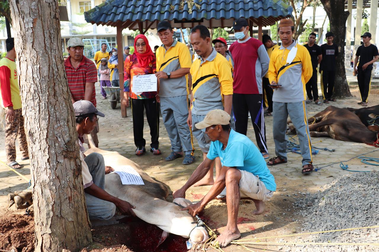 SMAN 15 Bandar Lampung Sembelih 9 Hewan Kurban Hasil Partisipasi Guru dan Staf Sekolah - Kurban22.jpg