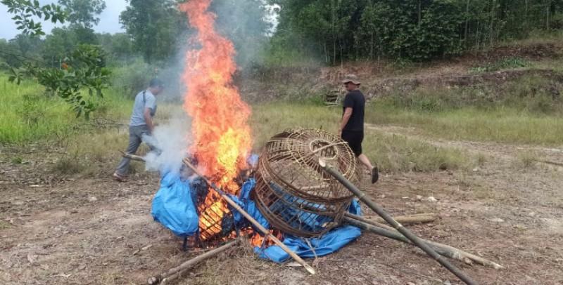 Digerebek Polisi, Lokasi Judi Sabung Ayam di Pringsewu Lampung Mendadak Kosong