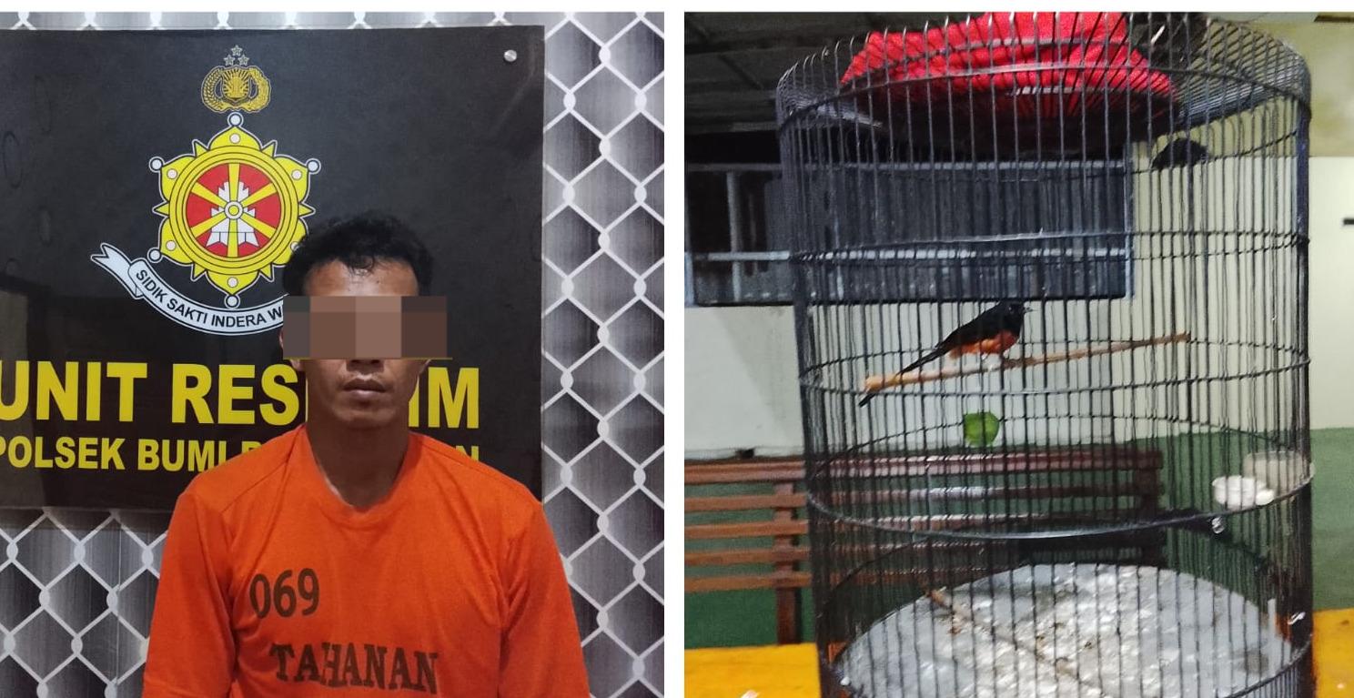MALING-BURUNG-Pelaku-pencurian-burung-berinisial-RU.jpg