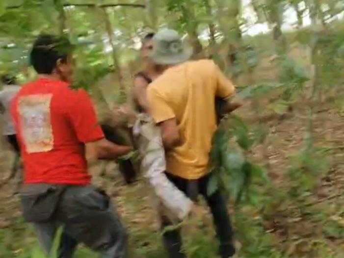 Kades di Lampung Timur Meninggal Akibat Amukan Gajah Liar 