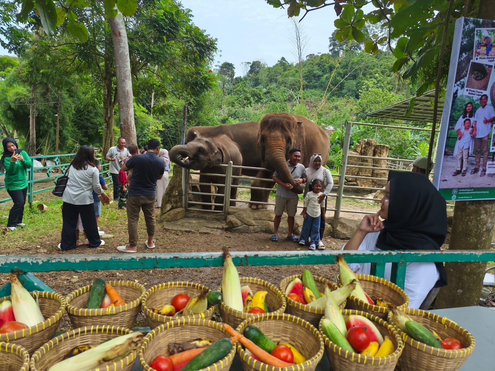 Harga Tiket Wisata Lembah Hijau, Tawarkan Hiburan Lengkap Selama Nataru