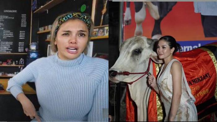Nikita Mirzani Bagikan 4 Sapi Besar ke Daerah-daerah di Hari Raya Idul Adha