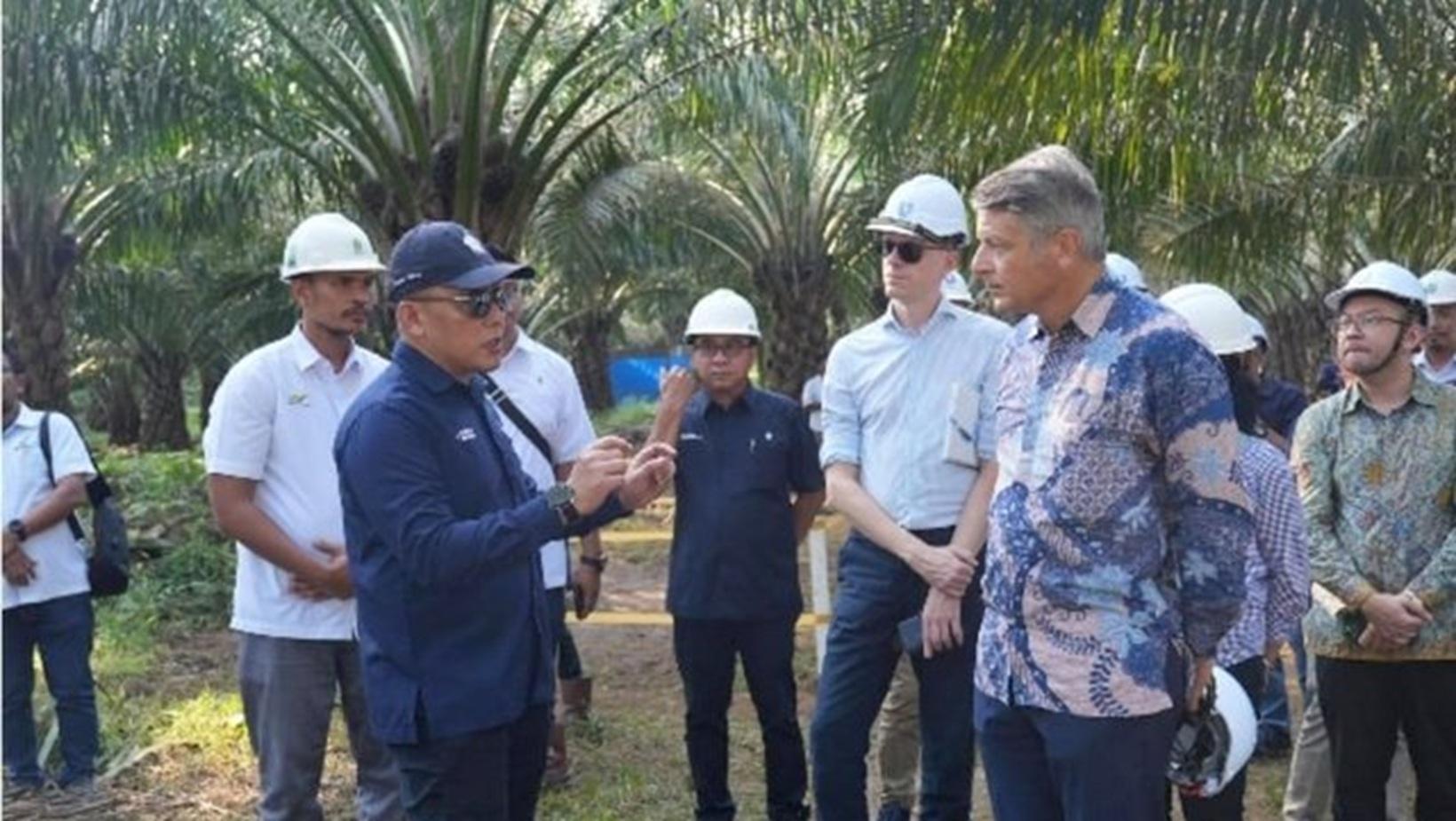 Upaya PTPN Wujudkan Hilirisasi dan Sawit Ramah Lingkungan Dipuji Dubes Uni Eropa