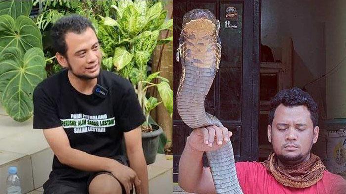 Panji-Petualang-terlihat-kurus-kesehatan-terganggu-usai-digigit-ular-King-Kobra.jpg