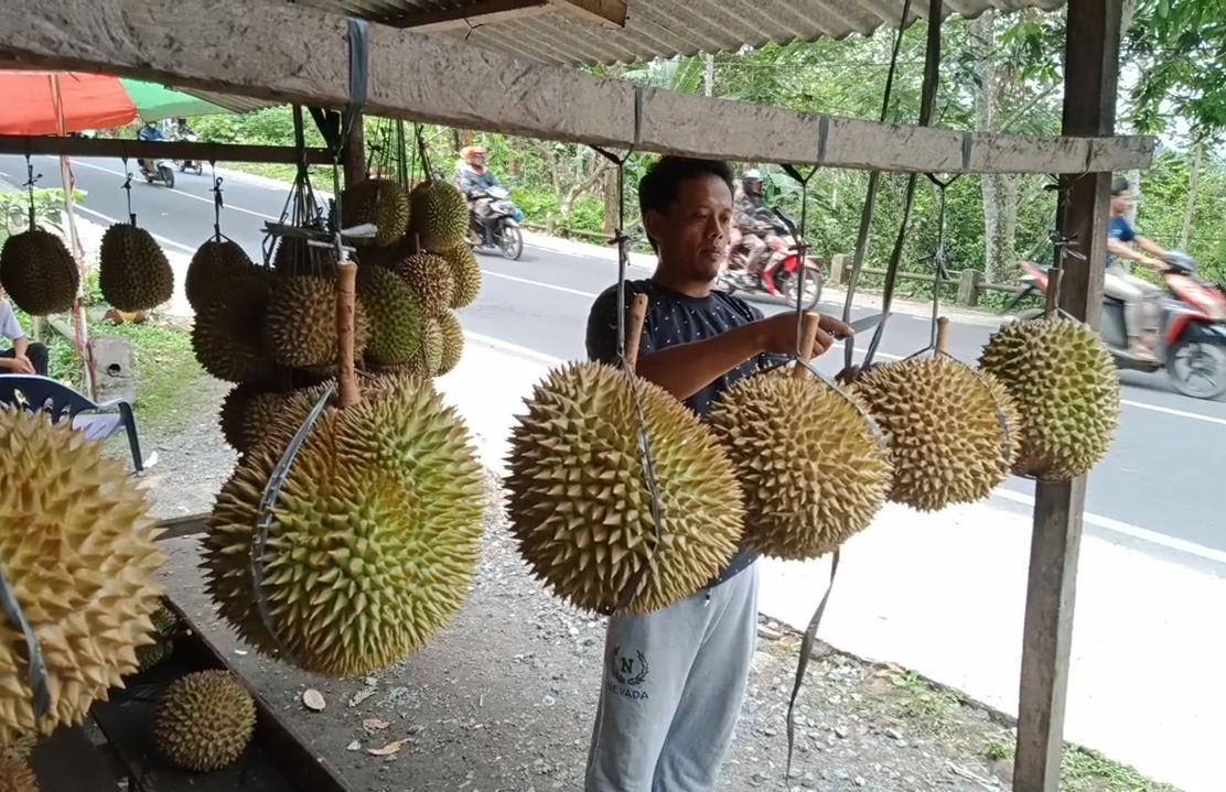 Pedagang-Durian.jpg