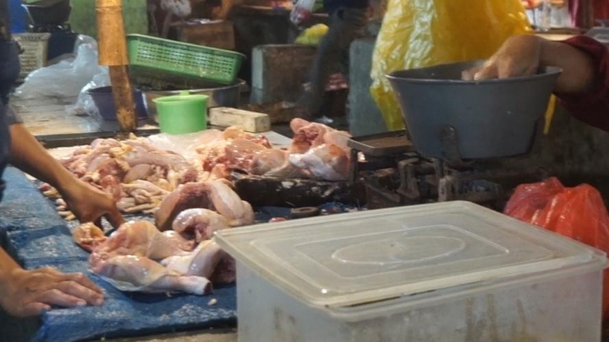 MBG Libur, Harga Telur dan Ayam di Metro Terjun Bebas - Tribunlampung.co.id