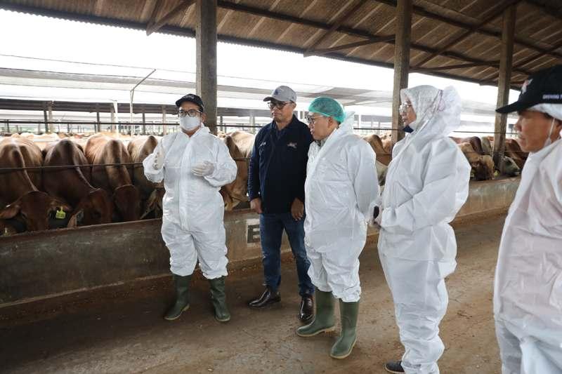 Pemprov-Lampung-dan-Dirjen-PKH-Tinjau-Vaksinasi-Ternak-di-Lampung-Tengah.jpg