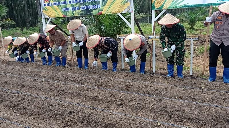 PT SIP di Mesuji Lampung Dukung Pemerintah Wujudkan Ketahanan Pangan - Tribunlampung.co.id