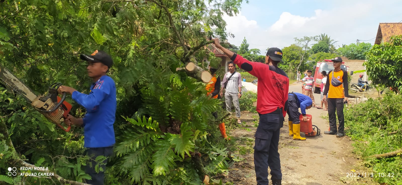 Bangunan di Enam Pekon Pringsewu Lampung Rusak Terdampak Pohon Tumbang