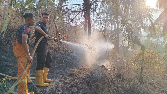 Warga Durian Payung Bandar Lampung Geger Kebakaran Lahan Dekati Pemukiman