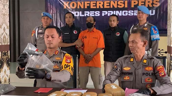 Polres-Pringsewu-Lampung-Amankan-BB-9-Kg-Ganja-dan-Senpi-Pelaku.jpg