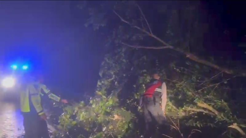 Polres Mesuji Lampung Bersihkan Pohon Tumbang di Jalintim Demi Kelancaran Arus Lalin