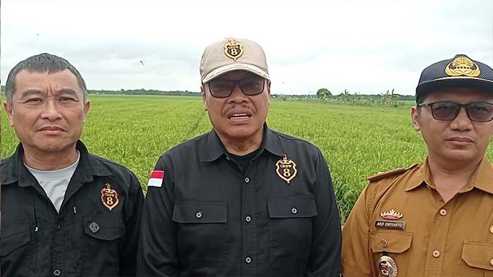 Presiden Prabowo Rencanakan Panen Raya di Mesuji Lampung, Crew 8 Pantau Sawah