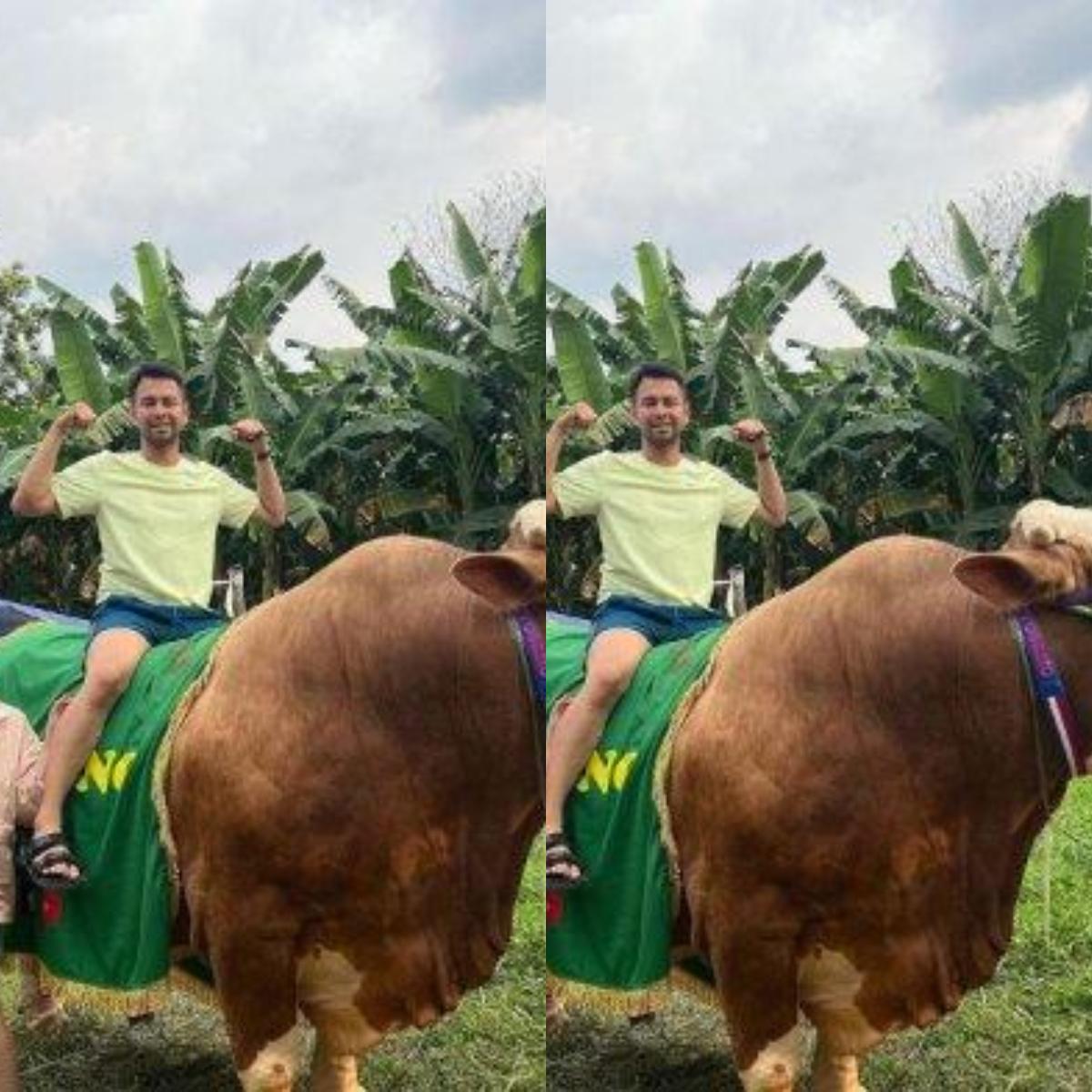 Raffi Ahmad dan Nagita Slavina Potong 30 Hewan Kurban di Idul Adha 2022