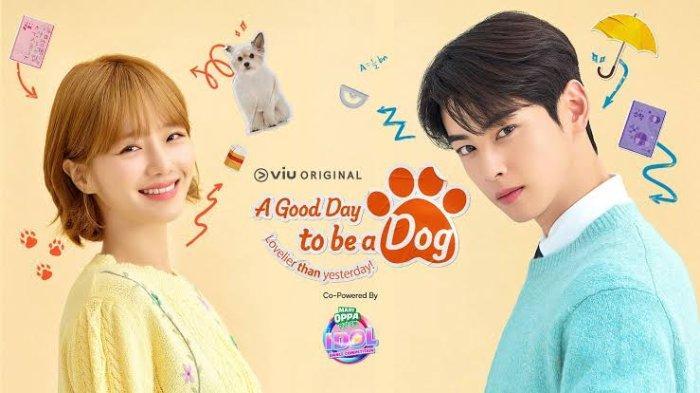 Rating-drama-Korea-terbaru-A-Good-Day-To-Be-A-Dog-naik.jpg