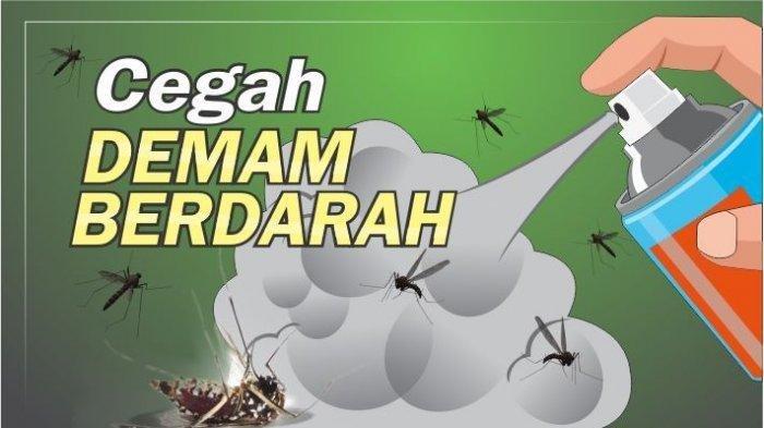 Ratusan Warga Lampung Kena DBD, Puncak Kasus Diperkirakan Februari