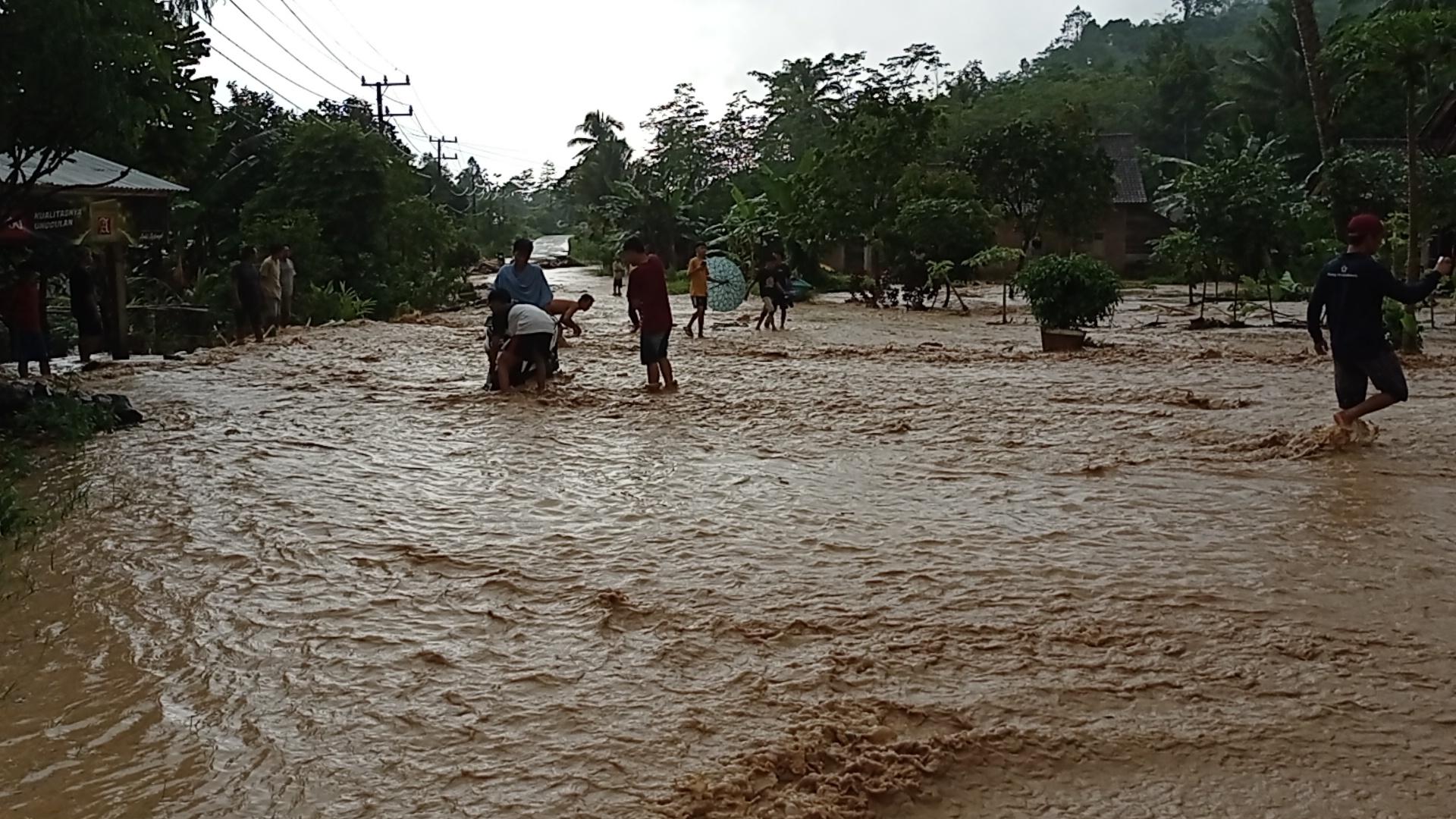 Ratusan-hektar-lahan-pertanian-di-Tanggamus-Lampung-terdampak-banjir.jpg
