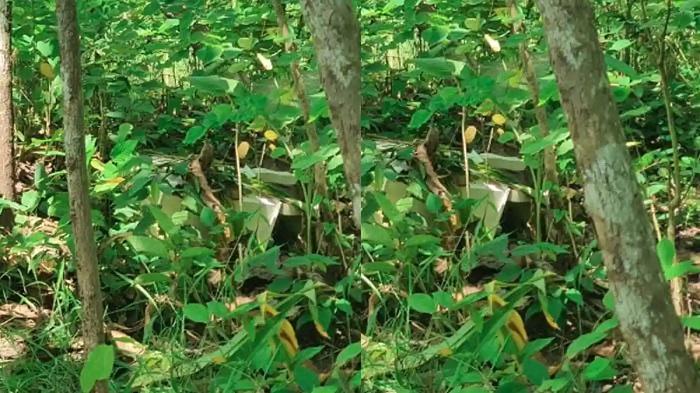 Pengantin Histeris Amplop Rp15 Juta Raib, Kotaknya Ditemukan di Pinggir Sungai