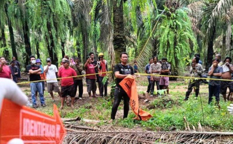 Siswa-SMK-tewas-membusuk-di-kebun-sawit-sepeda-motor-dan-HP-nya-hilang.jpg