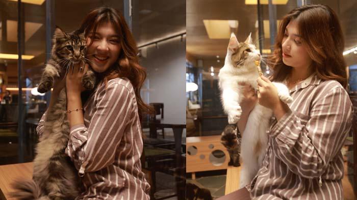 Syakira-Artha-Wangsa-foto-bersama-kucing-di-House-of-Meta.jpg