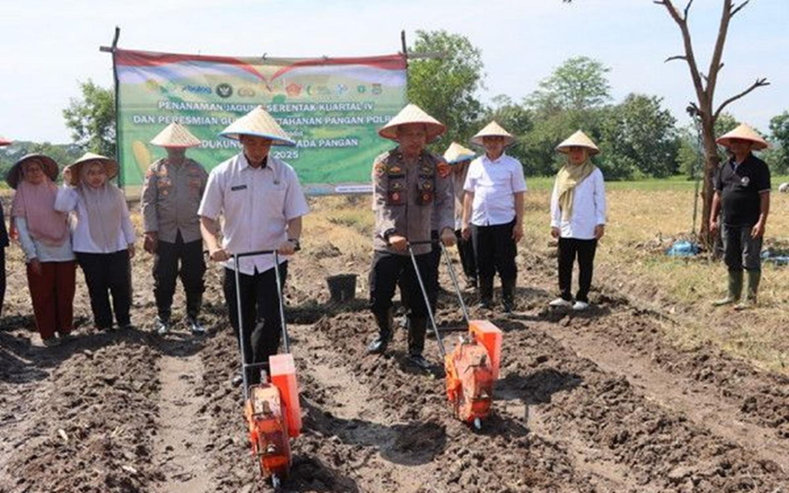 Polres Pringsewu Tanam Jagung Serentak Kuartal IV di Lahan 3 Hektar