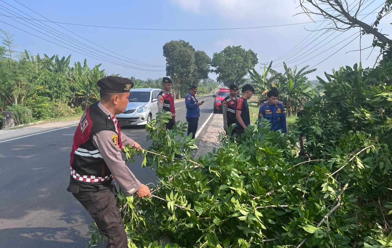 TEBANG-POHON-Personel-Sat-Samapta-Polres-Lampung-Selatan-4567.jpg