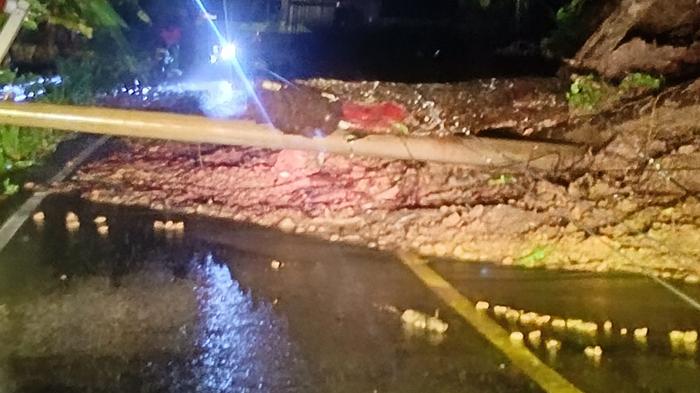 Hujan Deras, Pohon Tumbang dan Tanah Longsor di Pesisir Barat Lampung