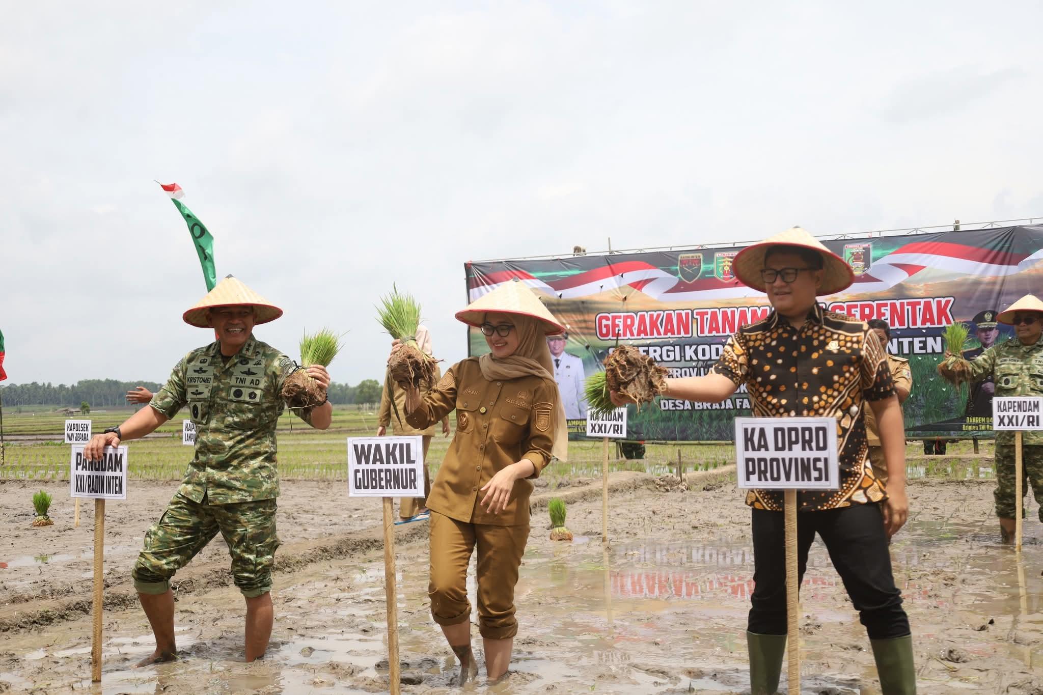 Tanam-padi-serentak-di-Lamtim-1.jpgWagub-Tanam-padi-gulung-celana-dok.jpg
