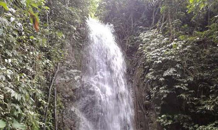 Pecinta Alam Wajib Datang ke Air Terjun Selapan Pringsewu