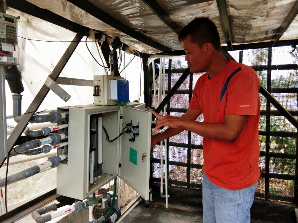 Melalui Aplikasi Berbasis Android, Sarwo Edi Bisa Siram Cabai Pakai Ponsel