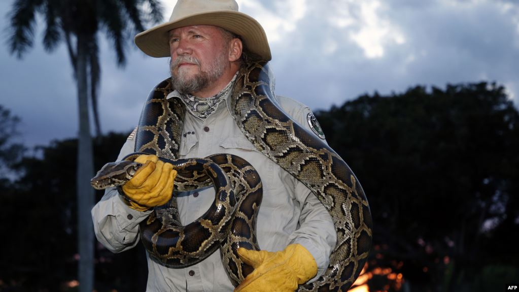 Arti Mimpi Membunuh Ular dalam Pandangan Islam, Pesan Agar Tak Menjadi Sombong