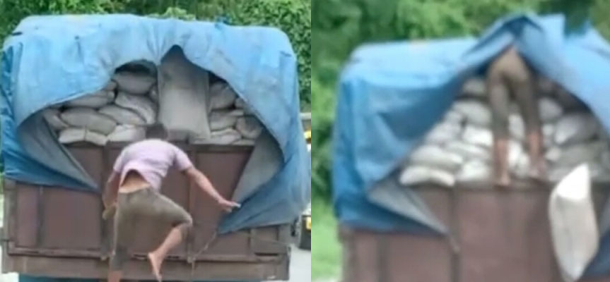 Sempat Viral di Medsos, 3 Bajing Loncat Gasak 3 Karung Kopi Diringkus