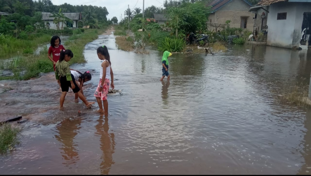 banjir-rob-di-kecamatan-rawajitu-utara.jpg