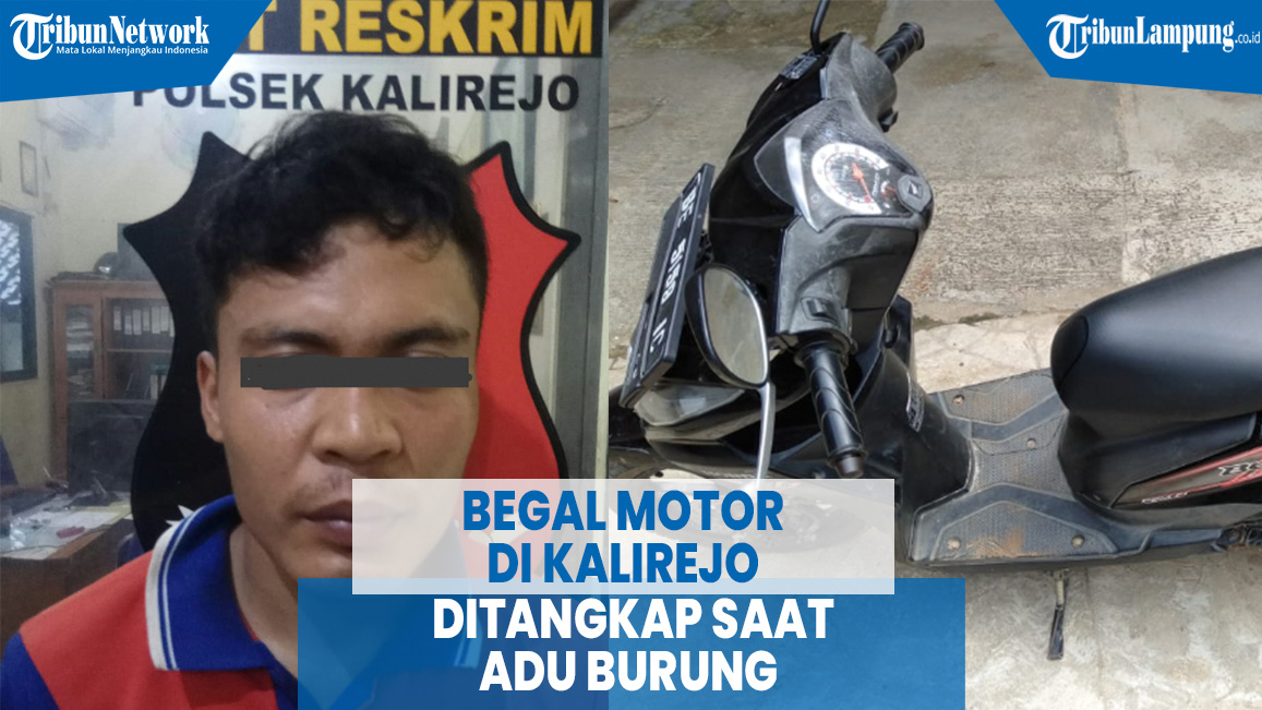 begal-motor-di-kalirejo-ditangkap-saat-adu-burung-di-bandar-lampung.jpg