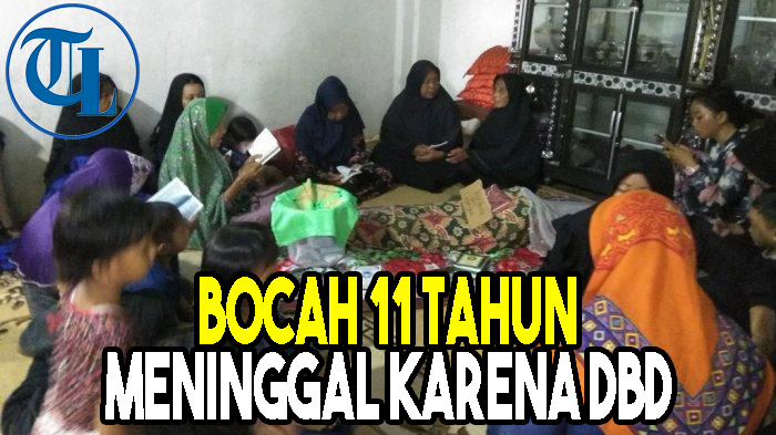 bocah-di-kotabumi-meninggal-karena-dbd.jpg