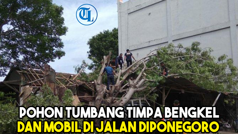 braakkkk-pohon-tumbang-timpa-bengkel-dan-mobil-di-jalan-diponegoro.jpg