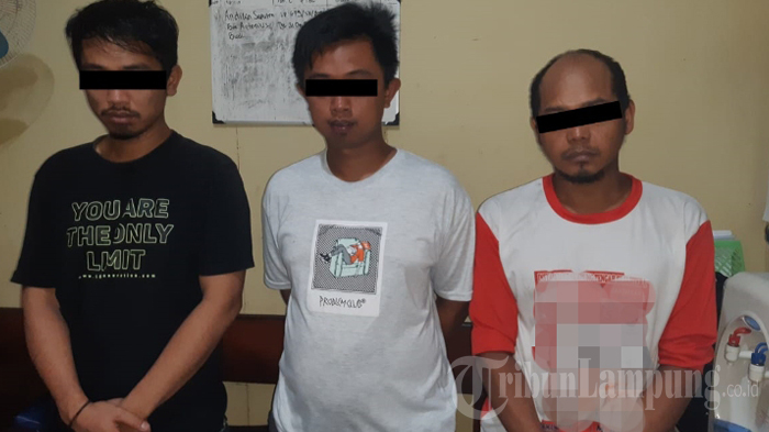 breaking-news-3-pelaku-pencurian-burung-kicau-di-lampung-tengah-diciduk-polisi.jpg