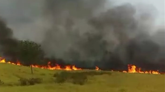 BREAKING NEWS - Begini Kronologi Kebakaran 100 Hektare Lahan di Lampung Barat