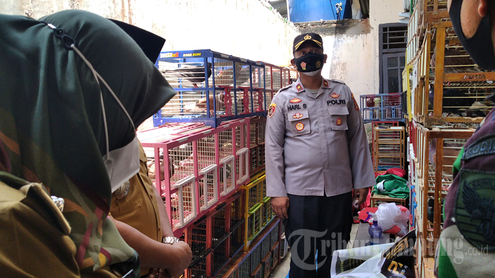 BREAKING NEWS Tak Ada Izin, Arena Lomba Burung Dara Dibubarkan Paksa Polisi